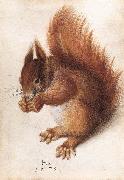 HOFFMANN, Hans Squirrel wf China oil painting reproduction